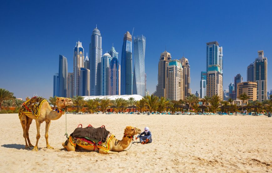 RAK to Dubai City Tour