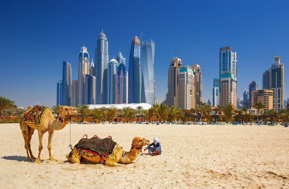 Zain Tours