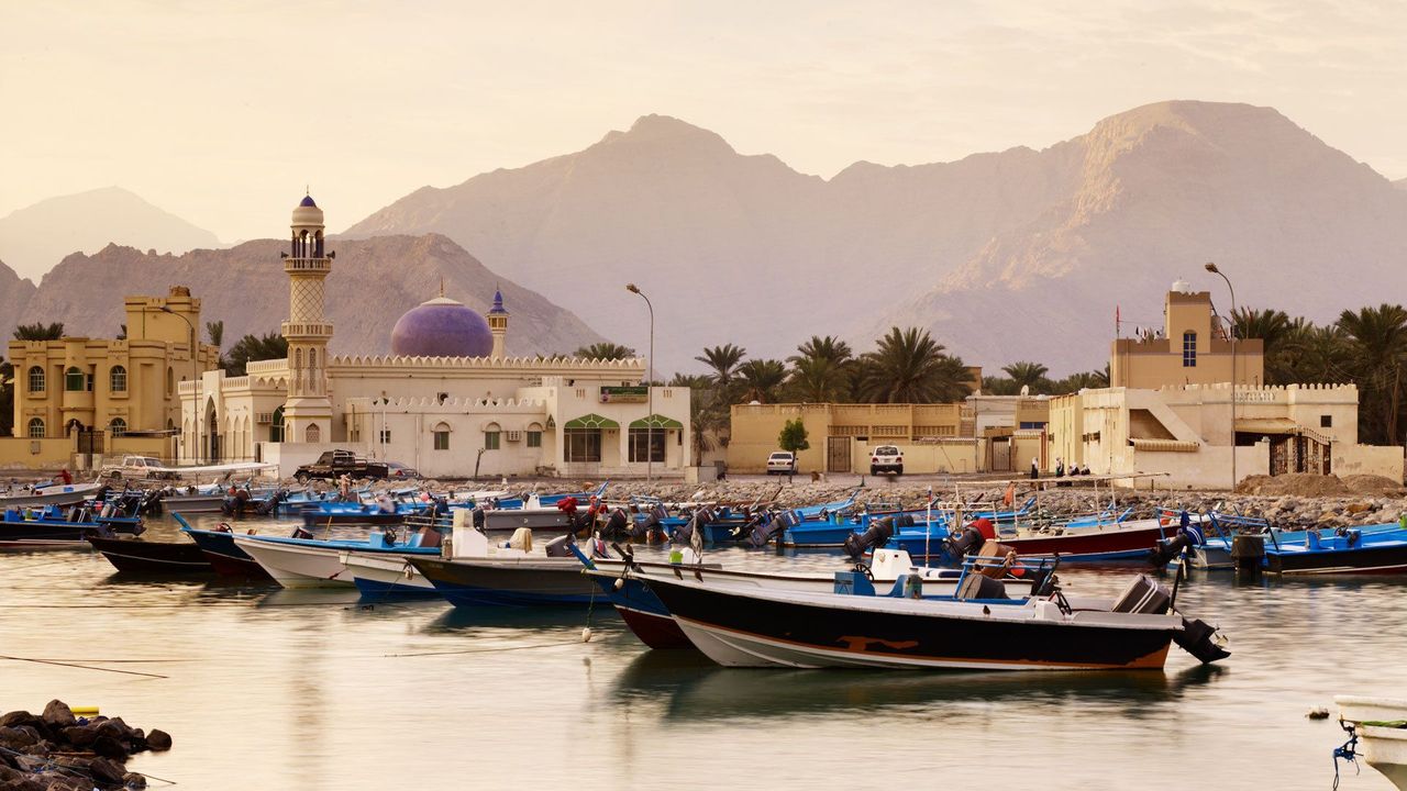 Zain Tours